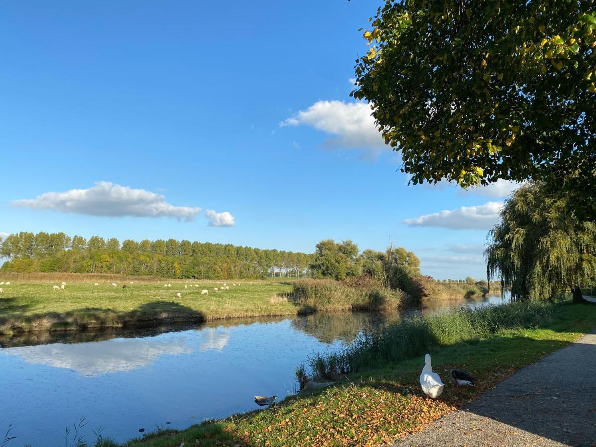 Bungalow Scheldezicht In Zeeland Dicht Bij Zee Scherpenisse Экстерьер фото